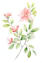 Watercolor guava branches with ripe fruit and blossoms, suitable for a sunroom or conservatory, adding a delicate touch of tropical flora