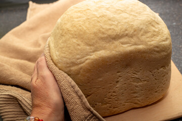 loaf of freshly baked homemade bread from a bread machine in the hands of a woman. Cook at home.