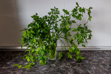 sprigs of parsley in water on the kitchen counter