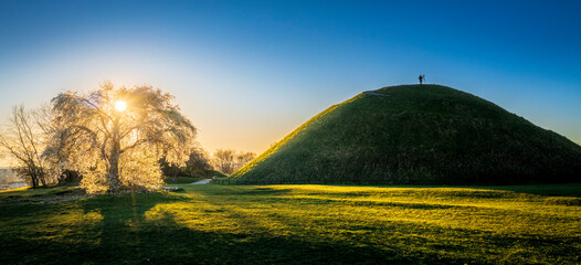 Sunrise over blossoming plum tree and Krakus Mound with lonely man during Spring, Krakow, Poland.
