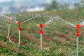 Field irrigation system, sprinkler irrigation