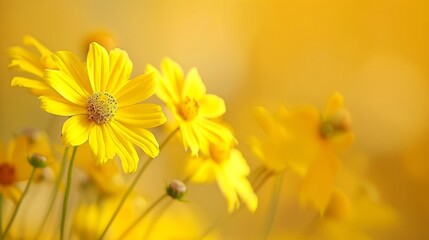 Obraz premium A close up of a bunch of yellow flowers in the sun, AI