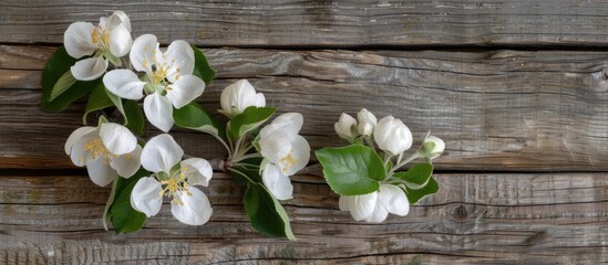 Apple blossoms on a wooden background signify spring's arrival.