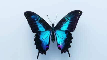 Butterfly on the white background. Blue butterfly on white background.