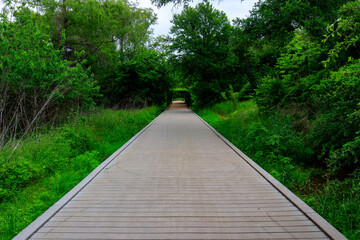 Fototapeta premium A wooden boardwalk stretches out into the distance, flanked by lush greenery on either side. The path appears to be in a tranquil, natural environment.