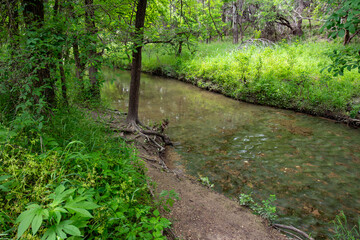 A tranquil stream meanders through a verdant forest with lush greenery on its banks. A well-worn...