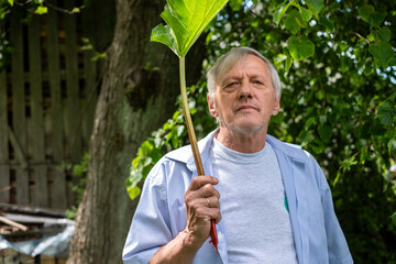 Senior man with a determined expression holding a large leaf on a stick, symbolizing growth and sustainability.