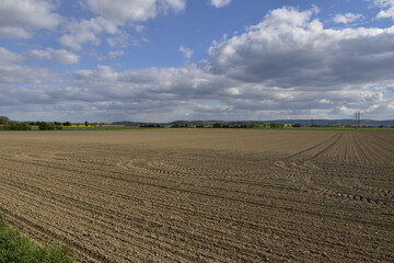 Fototapeta na wymiar Landschaft und Feld bei Wunstorf