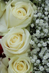 Group of white roses, wedding decorations - 791148889