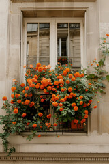 Window in Paris with Flowers and French Balcony