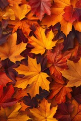Naklejka na ściany i meble autumn leaf fall yellow leaves autumn Generative AI