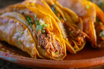 closeup of crispy birria tacos. Mexican food