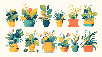 Collection of decorative houseplants isolated on wh