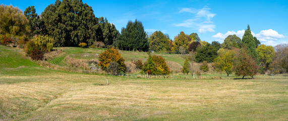 Background texture of panoramic idyllic farmland or campground scene with lush grass lawn, varied trees, and vacant land. Rural nature landscape in New Zealand. Copy space for your design.
