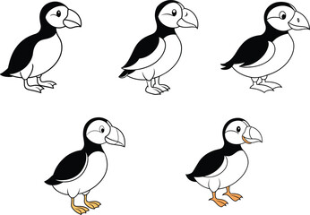 vector cartoon bird