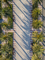 beautiful alley with palm trees aerial view, pedestrian street at sunset drone view, promenade at...
