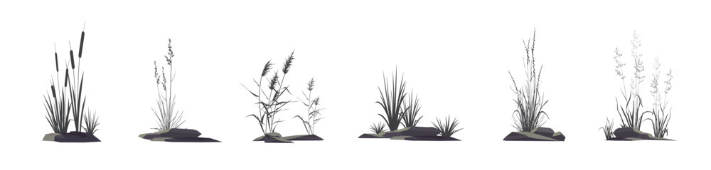 Cattail, reeds, cane, sedge, bluegrass and other marsh and steppe grass - a set of silhouette vector drawings of plants near stones isolated on a white background. - obrazy, fototapety, plakaty