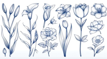 Elegant Flower Buds Line Icons A Detailed Set of Lilies Roses and Tulips for Floral Designs