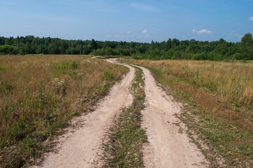 Country landscape, dirt road crosses meadow towards forest