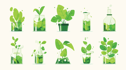 Collection of green plants growing in pots with min - obrazy, fototapety, plakaty