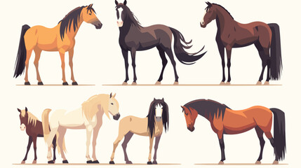Collection of horses and pony standing and moving v