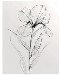 Fototapeta premium Single Line Orchid Flower Drawing: Elegant Minimalist Floral Art in Neutral Black and White Harmony
