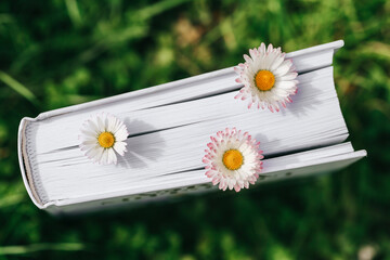 Spring and summer books. Chamomiles in the pages of books close-up on green grass.White summer flowers and book pages. Books about spring and summer. photo