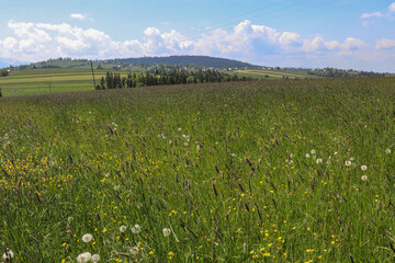 A beautiful panorama of vast Polish meadows against the background of mountains in the Lesser Poland Voivodeship.