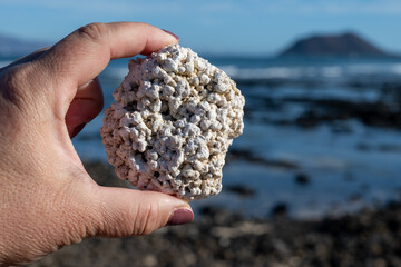 White popcorn shaped white corals beach in Corralejo, Fuerteventura, Canary islands, Spain, travel destination