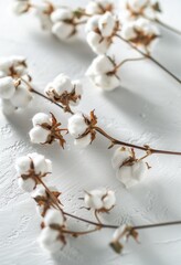 Close Up of Cotton Flowers on Bed