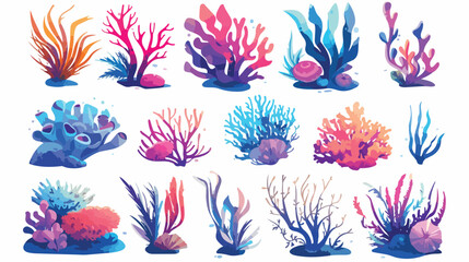 Collection of various corals and seaweed or algae i