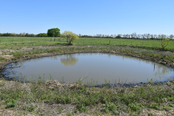 Pond in a Farm Field