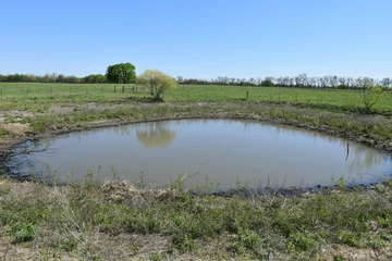 Fototapeten Sommer Pond in a Farm Field  © Steve