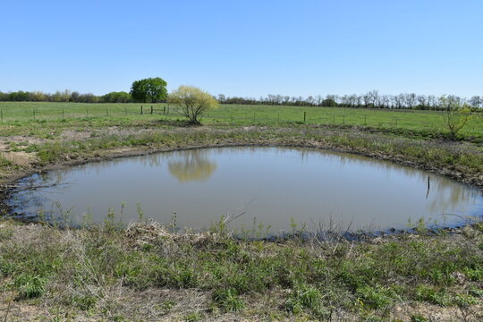 Pond in a Farm Field