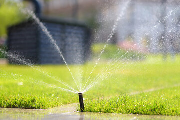Automatic garden sprinkler in a public park. Gardening equipment. Watering the grass on lawn on a sunny summer day - 791185889