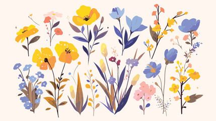 Collection of wild blooming meadow flowers isolated