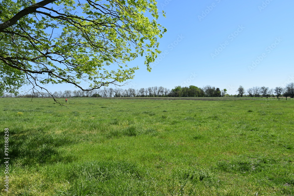 Canvas Prints farm field