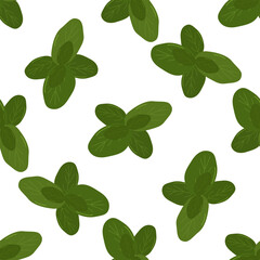 Fototapeta premium Fresh herbs and spices seasonings seamless pattern. Green Lemon Basil Leaves. Design of packaging, background, poster, flyer. Vector flat illustration.