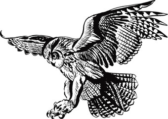 Flying Owl Bird of Prey Vector Illustration
