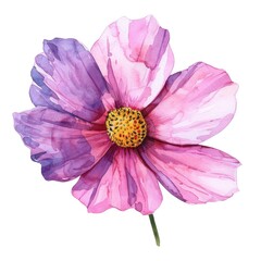 watercolor painting of a pink cosmos flower