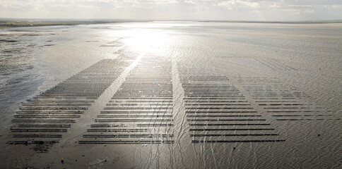 Aerial view of oyster farms in Whitstable, a town  on the north coast of Kent in Britain - obrazy, fototapety, plakaty