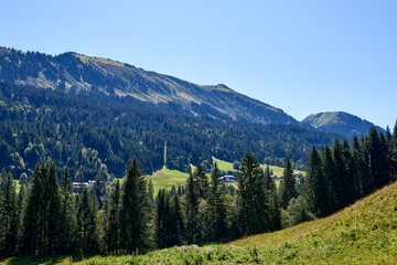Fototapeta na wymiar Alpine Meadows, Pine Forests, and the Azure Sky. Summer Meadows and Evergreen Forests Beneath Blue Skies. Mountain: Grazing Pastures and Pine-Laden Slopes in Summer. Nature Alpine Ecosystem Harmony