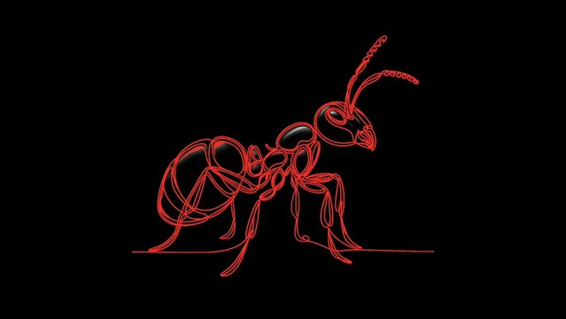 An Ant with a long body and a long antennae on a black background. Ant coloring and line style. Resolution is 4K.