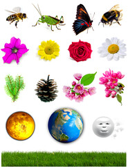 Nature icon set, natural symbols.  Collection set of elements, objects white isolated.