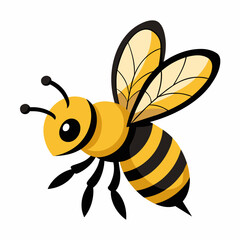 bee and honey Vector illustration