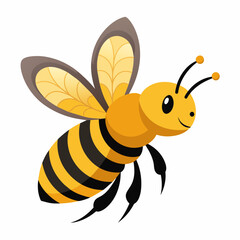 bee and honey Vector illustration