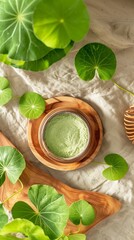 Fototapeta na wymiar Organic centella asiatica extract leaf powder natural ingredient skincare treatment