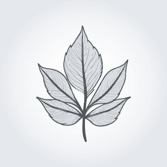 leaves line art logo icon 