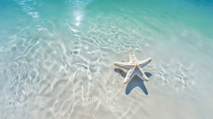 Fototapeta na wymiar Amazing and beautiful underwater world with starfish on a sandy