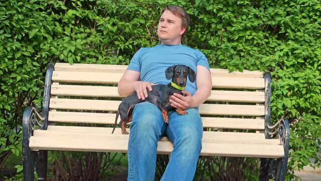Man sits on bench and strokes smooth fur of dachshund. Male and purebred animal go for walk together to enjoy fresh air and warm weather